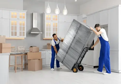 Vertex Mover Secure Logistics